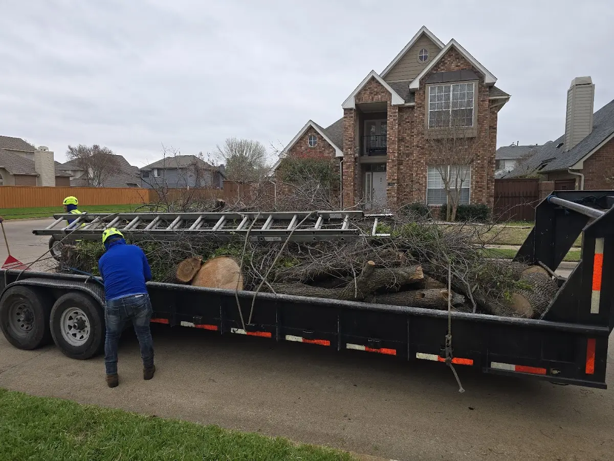 Expert Tree Fertilization with proper safety equipment in Lockney
